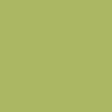 BM20 - Anise