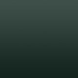 HD16 - Fir Tree