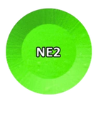 NE#02 - Neon Collection