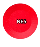 NE#05 - Neon Collection