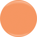 Entity Gel Color - Apricot Beach Bag #619